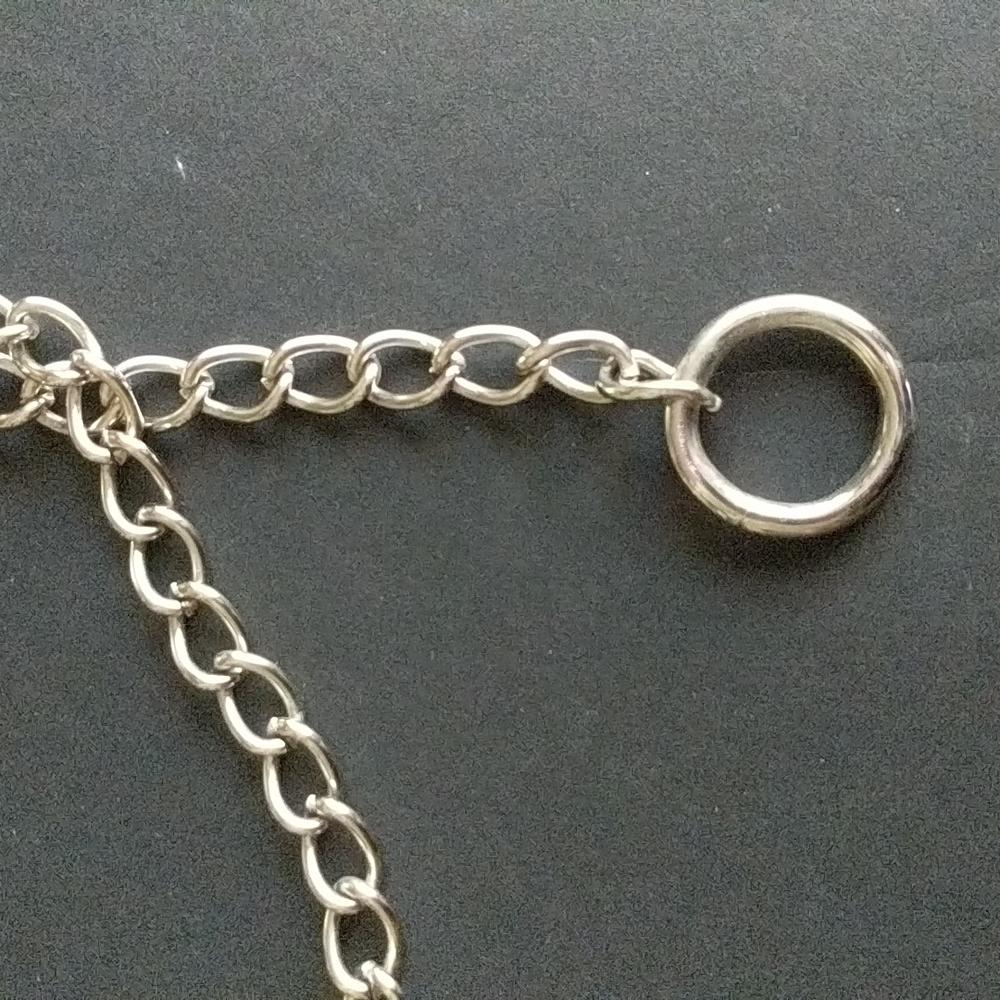 Silver Chain Loop Belt - Picture 2 of 5
